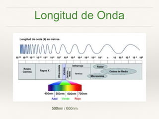 500nm / 600nm
Longitud de Onda
 