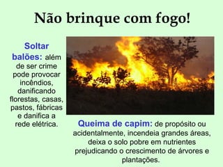Não brinque com fogo! Soltar balões:   além de ser crime pode provocar incêndios, danificando florestas, casas, pastos, fábricas e danifica a rede elétrica. Queima de capim:  de propósito ou acidentalmente, incendeia grandes áreas, deixa o solo pobre em nutrientes prejudicando o crescimento de árvores e plantações.  