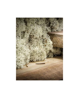 Verde profilo catalogo  mosswall