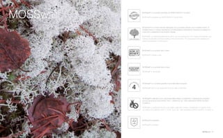 MOSSwall®
11
MOSSwall®
FEATURES
MOSSwall®
è un lichene naturale stabilizzato che può essere utilizzato solo in ambienti interni. Si
mantiene fresco e morbido assorbendo l’umidità esistente nell’ambiente. Sfumature e variazioni di
colore sono caratteristiche del prodotto naturale.
MOSSwall®
is a natural stabilized lichen which can be used indoors only. It keeps its freshness and
softness by absorbing moisture existing in the environment. The shades and color variations are
natural characteristics of the product.
100% NATURAL
MOSSwall®
è un prodotto brevettato da VERDE PROFILO®
nel 2009.
MOSSwall®
is patented by VERDE PROFILO®
since 2009.
MOSSwall®
è un prodotto fatto in Italia.
MOSSwall®
is Made in Italy.
MOSSwall®
è certificato al fuoco da primario istituto italiano di certificazioni. Classificazione di reazione
al fuoco secondo la norma UNI EN 13501-1:2009 B-s2, d0 - USA certificazione ASTM E 84:2003,
CLASSE A.
MOSSwall®
is certified for fire by a main Italian certification institute. Classification of reaction to fire
according to the UNI EN 13501-1: 2009 B-s2, d0 - USA certification ASTM E 84:2003, CLASSE A.
MOSSwall®
è un prodotto garantito 4 anni dalla data di acquisto.
MOSSwall®
has a 4 year guarantee since the date of purchase.
MOSSwall®
è antistatico.
MOSSwall®
is antistatic.
MOSSwall®
è un prodotto fatto a mano.
MOSSwall®
is handmade.
 