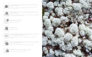 MOSSwall®
non è adatto per uso esterno.
MOSSwall®
is not for outdoor use.
MOSSwall®
ha proprietà certificate di assorbimento acustico. Attribuita, secondo la norma UNI EN
ISO 354:2003 - 11654:1998.
MOSSwall®
has a certificate sound absorption rate. Attributable, according to the UNI EN ISO
354:2003 - 11654:1998.
MOSSwall®
è antibatterico all’origine ed è un ambiente ostile alla riproduzione di insetti. Rapporto di
prova nr. TEC 1990706284.
MOSSwall®
does not originally present bacteria and it is a very hostile environment for the reproduction
of insects. Test certificate nr. TEC 1990706284.
MOSSwall®
non cresce.
MOSSwall®
does not grow.
Per un corretto mantenimento di MOSSwall®
, deve essere assicurato un tasso di umidità relativa pari
al 40-50%. (Il livello adeguato al benessere dell’uomo).
A relative Humidity level of at least 40-50% must be ensured (the level is the one needed for the
human wellbeing).
MOSSwall®
non deve essere esposto alla luce diretta del sole o agenti atmosferici. Può anche essere
collocato in ambienti senza luce naturale.
MOSSwall®
does not like direct sunlight. It can be used in room with no natural light.
MOSSwall®
non ha bisogno di acqua. Non spruzzare e non sciacquare.
MOSSwall®
does not needs water. Do not spray or wash it.
MOSSwall®
13
 