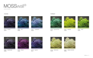 MOSSwall®
15
64 PISTACHIO
66 GREEN PEPPER
87 EUCALIPTUS
55 WASABI
54 MINT
Ocean
84 CASSIS
86 IRIS
85 LAVANDER
FOREST
88 AUBERGINE
53 ERICA
67 MAUVE
MOSSwall®
COLOURS
 