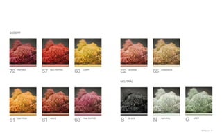MOSSwall®
17
B BLACK
N NATURAL
62 SESAME
65 CINNAMON
DESERT
72 PAPRIKA
57 RED PEPPER
60 CURRY
51 SAFFRON
81 ANICE
63 PINK PEPPER
NEUTRAL
G GREY
 