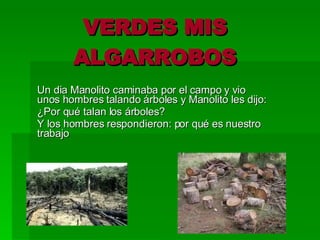 VERDES MIS ALGARROBOS Un dia Manolito caminaba por el campo y vio unos hombres talando árboles y Manolito les dijo: ¿Por qué talan los árboles? Y los hombres respondieron: por qué es nuestro trabajo