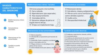 3 Alteraciones en las
extremidades
2 Características
asociadas:
4 También se puede
observar.
1 Malformaciones cráneo-
faciales:
Malformaciones cráneo- faciales: Características asociadas:
Alteraciones en las extremidades También se puede observar.
RASGOS
CARACTERISTICOS
DEL SINDROME
❖Cráneo pequeño (microcefalia)
❖ Cara redonda.
❖ Hipertelorismo (ojos separados).
❖ Raíz nasal prominente
❖ Anomalías del iris.
❖ Epicantus (pliegue de piel en el
ángulo interno del ojo).
❖ Orejas con implantacion baja.
❖Maloclusión dental.
❖ Estrabismo, miopía y astigmatismo.
❖ Filtrum corto (surco vertical en el
centro del labio superior).
❖ Cuello corto.
❖ Discapacidad intelectual.
❖ Manos pequeñas.
❖ Clinodactilia (arqueamiento permanente de
un dedo).
❖ Sindactilia (fusión congénita o accidental
de dos o más dedos entre sí).
❖ Pliegue simiesco (un solo pliegue en las
palmas de las manos).
❖ Deformidades de los pies (planos, zambos,
etc.).
❖ Problemas respiratorios (cianosis, asfixia).
❖ Crecimiento lento.
❖ Problemas de alimentación (la succión no es lo
suficientemente eficaz como para comer).
❖ Infecciones del tracto respiratorio bastante
frecuentes en los primeros años de vida.
❖ Malformaciones (renales y cardíacas).
❖ Ductus arterioso persistente (persistencia
anormal del conducto que va desde la
arteria pulmonar hasta la aorta).
 