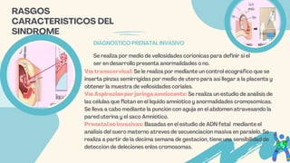 Se realiza por medio de vellosidades coriónicas para definir si el
ser en desarrollo presenta anormalidades o no.
DIAGNÓSTICO PRENATAL INVASIVO
RASGOS
CARACTERISTICOS DEL
SINDROME
Vía transcervical: Se le realiza por mediante un control ecográfico que se
inserta pinzas semirrígidas por medio de útero para así llegar a la placenta y
obtener la muestra de vellosidades coriales.
Vía Aspiración por jeringa amniocente: Se realiza un estudio de análisis de
las células que flotan en el líquido amniótico y anormalidades cromosómicas.
Se lleva a cabo mediante la punción con aguja en el abdomen atravesando la
pared uterina y el saco Amniótico.
Prenatal no invasivas: Basadas en el estudio de ADN fetal mediante el
análisis del suero materno atreves de secuenciación masiva en paralelo. Se
realiza a partir de la décima semana de gestación, tiene una sensibilidad de
detección de deleciones enlos cromosomas.
 