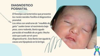 El fenotipo característico que presenta
los recién nacidos facilita el diagnostico
posnatal.
Los niños con síndrome de “maullido de
gato” suelen tener al nacimiento bajo
peso, cara redonda, llanto agudo
parecido al maullido de un gato (Hecho
este que suele servir para
diagnosticarlo). Este llanto tan agudo lo
causa una hipoplasia en la laringe.
DIAGNÓSTICO
POSNATAL
 