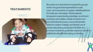 No existe un tratamiento en específico ya que
existe una gran heterogeneidad en cada
caso, será necesario un equipo multidisciplinario
formado por neurólogo, fisioterapeuta,
terapeuta ocupacional y psicólogo, en primera
instancia, para aplicar desde el minuto cero
una estimulación precoz. Los profesionales
deberán realizar trabajo coordinado con el
campo educativo y social para facilitar los
procesos evolutivos y atender aspectos como la
calidad de vida del afectado y su familia.
TRATAMIENTO
 