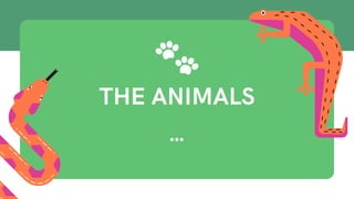 THE ANIMALS


 