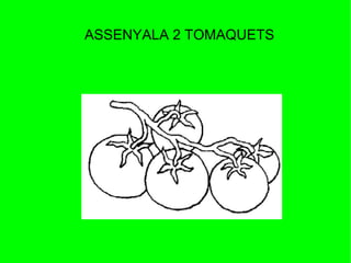 ASSENYALA 2 TOMAQUETS
 