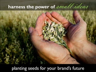 Social Graces (January 2009)