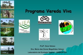 Programa Vereda Viva
Profª. Dora Veloso
Dra. Maria das Dores Magalhães Veloso
Laboratório de Ecologia Vegetal - UNIMONTES
 