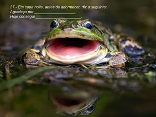 37.- Em cada noite, antes de adormecer, diz o seguinte: Agradeço por ___________________. Hoje consegui _____________________.  
