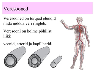 Veresooned Veresooned on torujad elundid mida mööda veri ringleb. Veresooni on kolme põhilist liiki:  v eenid ,  arterid ja kapillaarid.   