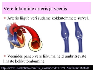 Vere liikumine arteris ja veenis Arteris liigub veri südame kokkutõmmete survel. http://www.istockphoto.com/file_closeup/?id=372911&refnum=387890   Veenides paneb vere liikuma neid ümbritsevate lihaste kokkutõmbumine. 