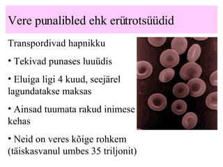 Vere punalibled ehk erütrotsüüdid Transpordivad hapnikku T ekivad punases luuüdis Eluiga ligi 4 kuud, seejärel lagundatakse maksas A insad tuumata rakud inimese kehas Neid on veres kõige rohkem (täiskasvanul umbes 35 triljonit)   