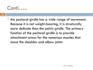 10/14/2024
18
Conti…..
 the pectoral girdle has a wide range of movement.
Because it is not weight-bearing, it is structurally
more delicate than the pelvic girdle. The primary
function of the pectoral girdle is to provide
attachment areas for the numerous muscles that
move the shoulder and elbow joints
 