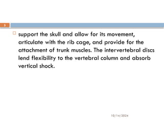 10/14/2024
5
 support the skull and allow for its movement,
articulate with the rib cage, and provide for the
attachment of trunk muscles. The intervertebral discs
lend flexibility to the vertebral column and absorb
vertical shock.
 
