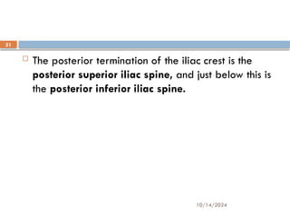 10/14/2024
51
 The posterior termination of the iliac crest is the
posterior superior iliac spine, and just below this is
the posterior inferior iliac spine.
 