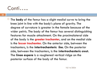 10/14/2024
63
Conti…..
 The body of the femur has a slight medial curve to bring the
knee joint in line with the body’s plane of gravity. The
degree of curvature is greater in the female because of the
wider pelvis. The body of the femur has several distinguishing
features for muscle attachment. On the proximolateral side
of the body is the greater trochanter, and on the medial side
is the lesser trochanter. On the anterior side, between the
trochanters, is the intertrochanteric line. On the posterior
side, between the trochanters, is the intertrochanteric crest.
The linea aspera is a roughened vertical ridge on the
posterior surface of the body of the femur.
 