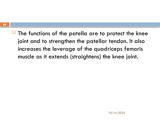 10/14/2024
69
 The functions of the patella are to protect the knee
joint and to strengthen the patellar tendon. It also
increases the leverage of the quadriceps femoris
muscle as it extends (straightens) the knee joint.
 