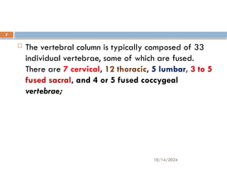 10/14/2024
7
 The vertebral column is typically composed of 33
individual vertebrae, some of which are fused.
There are 7 cervical, 12 thoracic, 5 lumbar, 3 to 5
fused sacral, and 4 or 5 fused coccygeal
vertebrae;
 