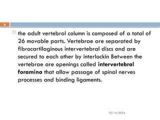 10/14/2024
8
 the adult vertebral column is composed of a total of
26 movable parts. Vertebrae are separated by
fibrocartilaginous intervertebral discs and are
secured to each other by interlockin Between the
vertebrae are openings called intervertebral
foramina that allow passage of spinal nerves
processes and binding ligaments.
 