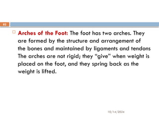 10/14/2024
82
 Arches of the Foot: The foot has two arches. They
are formed by the structure and arrangement of
the bones and maintained by ligaments and tendons
The arches are not rigid; they “give” when weight is
placed on the foot, and they spring back as the
weight is lifted.
 