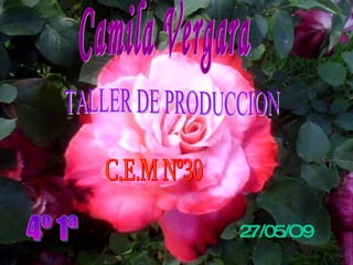 Camila Vergara C.E.M Nº30 TALLER DE PRODUCCION 4º 1ª 27/05/O9 