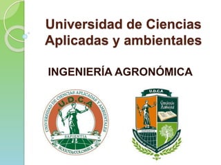 Universidad de Ciencias
Aplicadas y ambientales
INGENIERÍA AGRONÓMICA
 