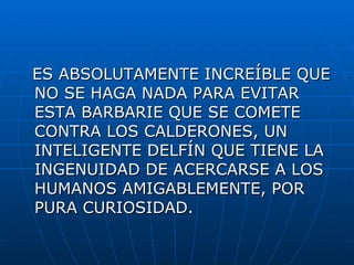 ES ABSOLUTAMENTE INCREÍBLE QUE NO SE HAGA NADA PARA EVITAR ESTA BARBARIE QUE SE COMETE CONTRA LOS CALDERONES, UN INTELIGENTE DELFÍN QUE TIENE LA INGENUIDAD DE ACERCARSE A LOS HUMANOS AMIGABLEMENTE, POR PURA CURIOSIDAD.  