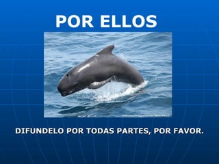 DIFUNDELO POR TODAS PARTES, POR FAVOR. POR ELLOS 