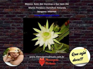 Música: Xote das meninas e Qui nem Jiló Marco Pereira e Hamílton Holanda Imagens: Internet [email_address] www.mensagensvirtuais.com.br 