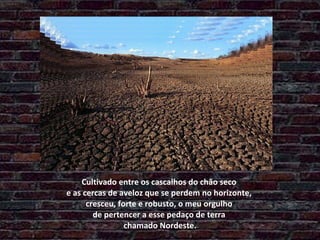 Cultivado entre os cascalhos do chão seco  e as cercas de aveloz que se perdem no horizonte,  cresceu, forte e robusto, o meu orgulho  de pertencer a esse pedaço de terra  chamado Nordeste. 