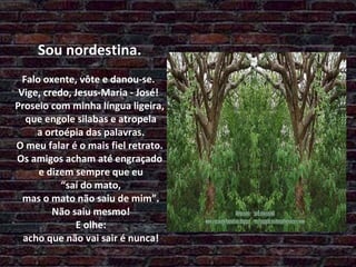 Sou nordestina.   Falo oxente, vôte e danou-se.  Vige, credo, Jesus-Maria - José!  Proseio com minha língua ligeira,  que engole silabas e atropela  a ortoépia das palavras.  O meu falar é o mais fiel retrato.  Os amigos acham até engraçado  e dizem sempre que eu  “saí do mato,  mas o mato não saiu de mim”.  Não saiu mesmo!  E olhe:  acho que não vai sair é nunca! 