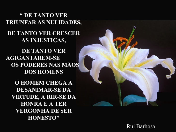 Rui Barbosa De Tanto Ver Triunfar As Nulidades