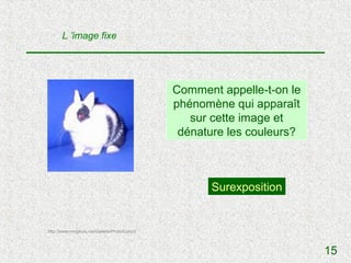 L ’image fixe




                                              Comment appelle-t-on le
                                              phénomène qui apparaît
                                                 sur cette image et
                                               dénature les couleurs?



                                                    Surexposition


http://www.rongeurs.net/Galerie/Photo5.php3



                                                                        15
 
