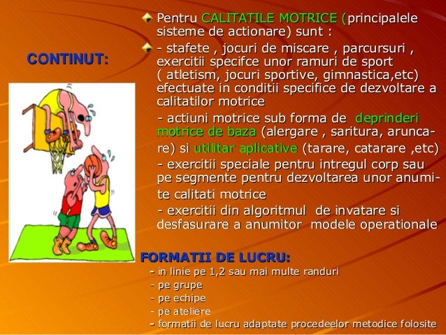 Verigile lectiei de Educaţie Fizică şi Sport