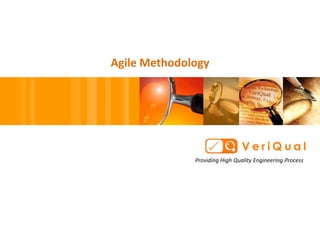 Agile Methodology




              Providing High Quality Engineering Process
 