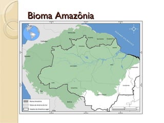 Bioma Amazônia 