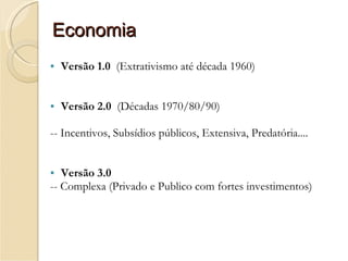 Economia Versão 1.0  (Extrativismo até década 1960) Versão 2.0  (Décadas 1970/80/90)  -- Incentivos, Subsídios públicos, Extensiva, Predatória.... Versão 3.0  -- Complexa (Privado e Publico com fortes investimentos) 