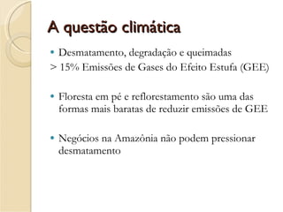 A questão climática Desmatamento, degradação e queimadas  > 15% Emissões de Gases do Efeito Estufa (GEE) Floresta em pé e reflorestamento são uma das formas mais baratas de reduzir emissões de GEE Negócios na Amazônia não podem pressionar desmatamento 