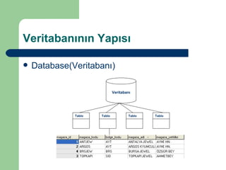 Veritabanının Yapısı Database(Veritabanı) Veritabanı Tablo Tablo Tablo Tablo 