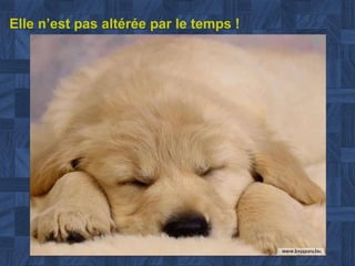 Elle n’est pas altérée par le temps  ! 