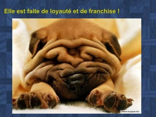 Elle est faite de loyauté et de franchise  ! 