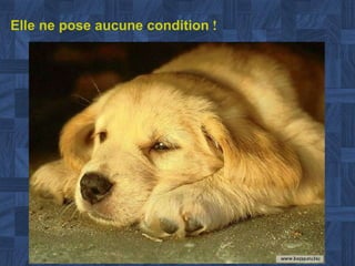 Elle ne pose aucune condition  ! 