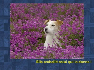 Elle embellit celui qui la donne  ! 