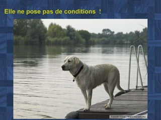 Elle ne pose pas de conditions  ! 