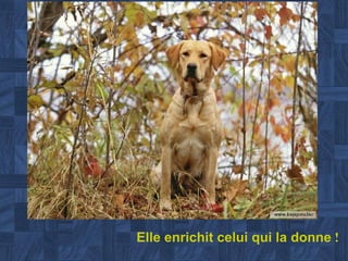 Elle enrichit celui qui la donne  ! 