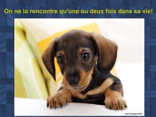 On ne la rencontre qu'une ou deux fois dans sa vie! 